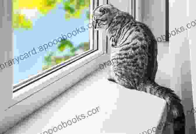 A Cat Sitting On A Windowsill, Looking Out Into The World Cat Poems Mollie Hunt