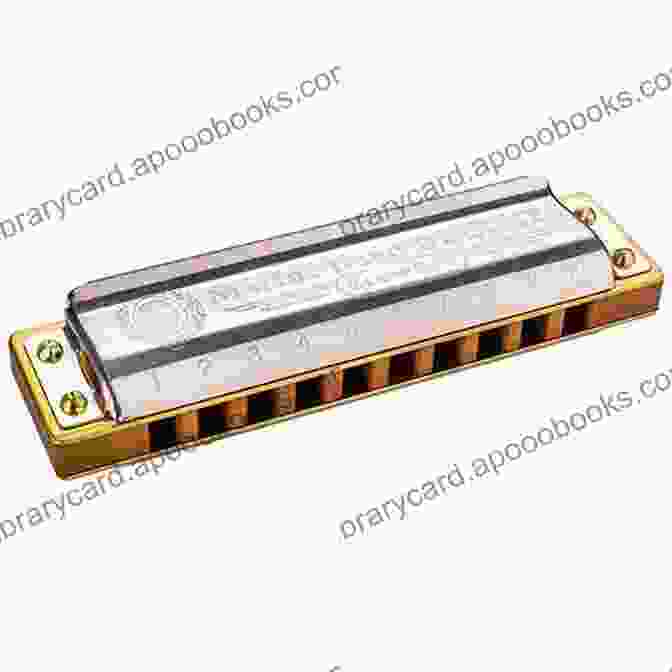 A Collection Of Harmonicas In Different Keys, Part Of The Complete 10 Hole Diatonic Harmonica Series Complete 10 Hole Diatonic Harmonica Series: E Harmonica