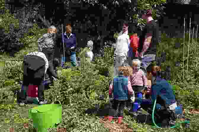 A Group Of People Working Together In A Community Garden The Newark Frontier: Community Action In The Great Society (Historical Studies Of Urban America)