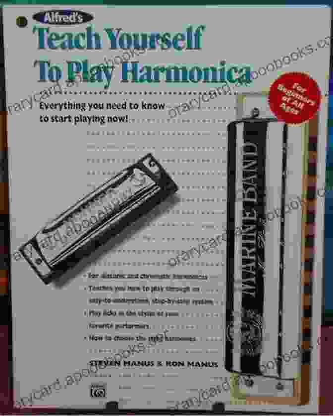 A Harmonica Teacher Instructing A Student On Proper Playing Techniques Complete 10 Hole Diatonic Harmonica Series: E Harmonica