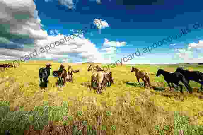 A Herd Of Mustang Horses Grazing Peacefully In A Field Mustang Horse: Fun Facts On Horses For Kids #7