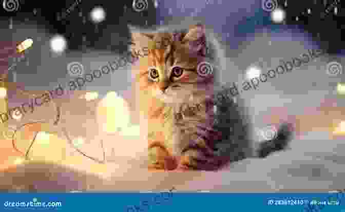 A Playful Kitten Frolicking In The Fluffy Snow, With Twinkling Lights In The Background The Winter Kitten (Cat Tales 1)