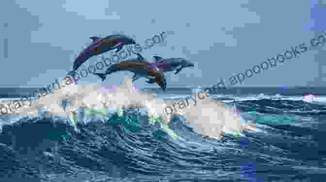 A Pod Of Playful Dolphins Leaping Out Of The Water Sea Otter: Fun Facts On Water Animals For Kids #13