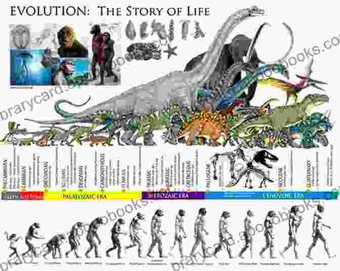 A Timeline Depicting The Evolutionary History Of Crabs, Showcasing Their Presence In Various Geological Periods. Crab: Fun Facts On Water Animals For Kids #10