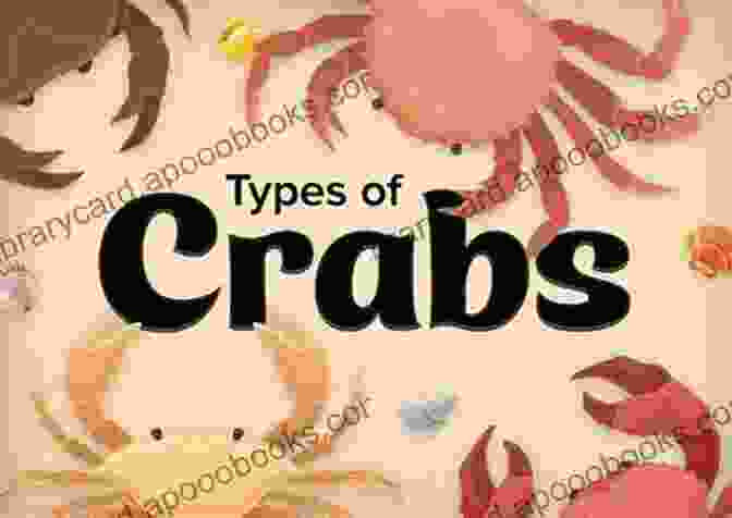 A Variety Of Crabs Showcasing Their Diverse Shapes And Sizes, From Tiny Pea Crabs To Colossal Coconut Crabs. Crab: Fun Facts On Water Animals For Kids #10