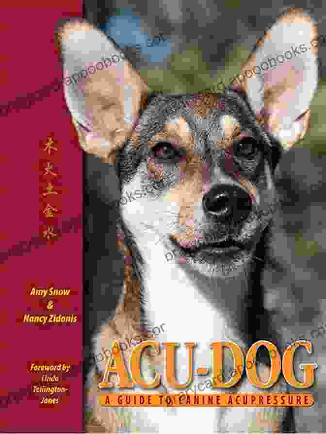 Acu Dog Guide To Canine Acupressure Book Cover Acu Dog: A Guide To Canine Acupressure