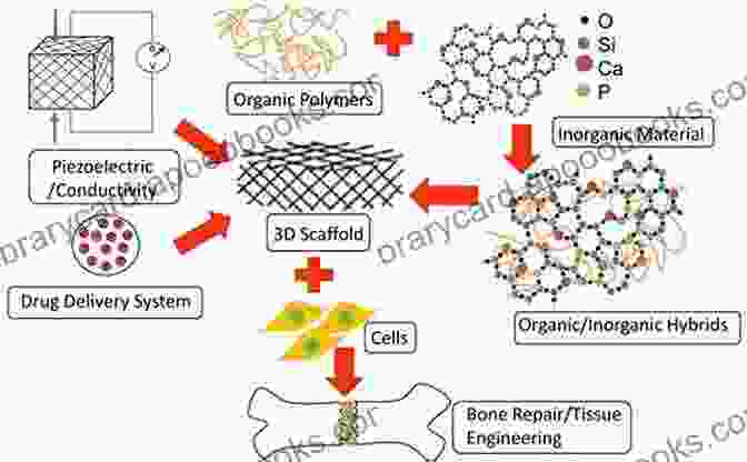 Biodegradable Polymers For Bone Repair And Regeneration Materials And Devices For Bone DisFree Downloads