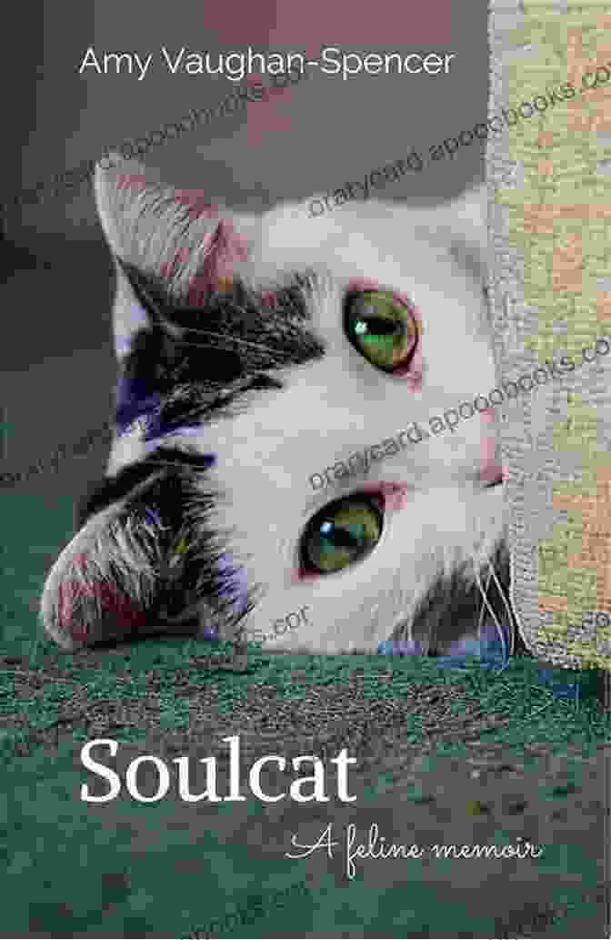 Book Cover Of Soulcat: Feline Memoir By Amy Vaughan Spencer Soulcat: A Feline Memoir Amy Vaughan Spencer