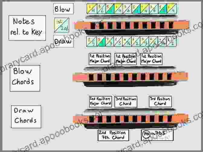 Diagram Of A 10 Hole Diatonic Harmonica Complete 10 Hole Diatonic Harmonica Series: Ab Harmonica