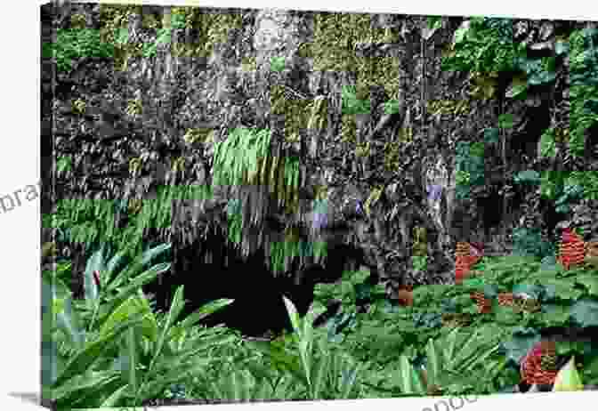 Fern Grotto, A Secluded Lava Tube With A Lush Interior And A Cascading Waterfall Amazing Hawaii Tour Guide: Top 100 Hawaii Tour Sites Tips