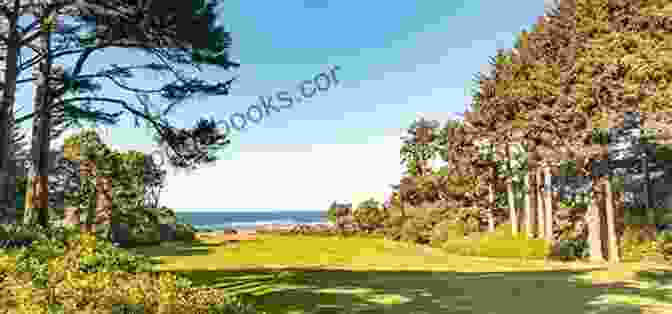 Golfing At Salishan Coastal Links Ultimate Oregon Coast Travel: Lincoln City (Gleneden Beach Neskowin): Every Beach Access Odd Facts Fun Finds