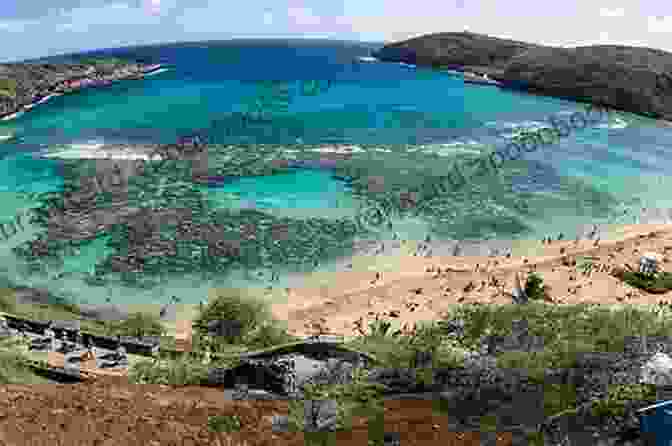 Hanauma Bay Nature Preserve, A Marine Life Sanctuary With Crystal Clear Waters And Vibrant Coral Reefs Amazing Hawaii Tour Guide: Top 100 Hawaii Tour Sites Tips