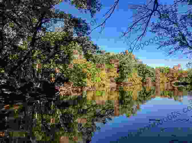 Hikers Exploring The Wetlands At Martin Nature Park Best Easy Day Hikes Oklahoma City (Best Easy Day Hikes Series)