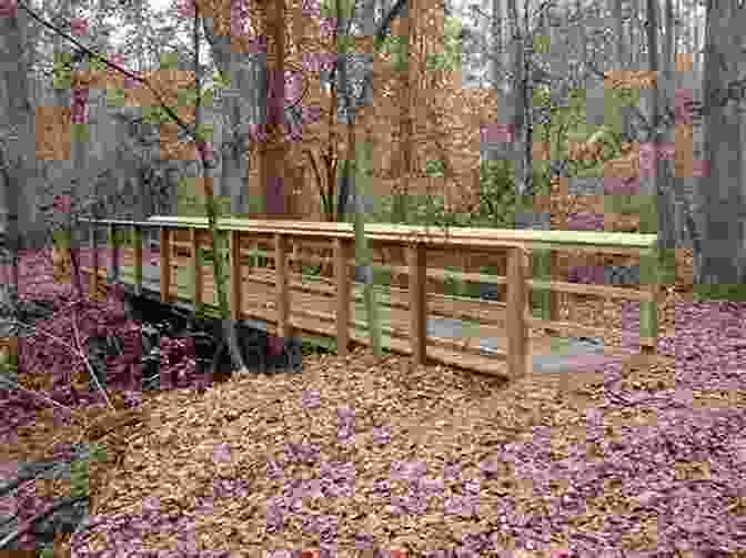 Hikers On The Bluff Creek Trail Crossing A Wooden Bridge Best Easy Day Hikes Oklahoma City (Best Easy Day Hikes Series)