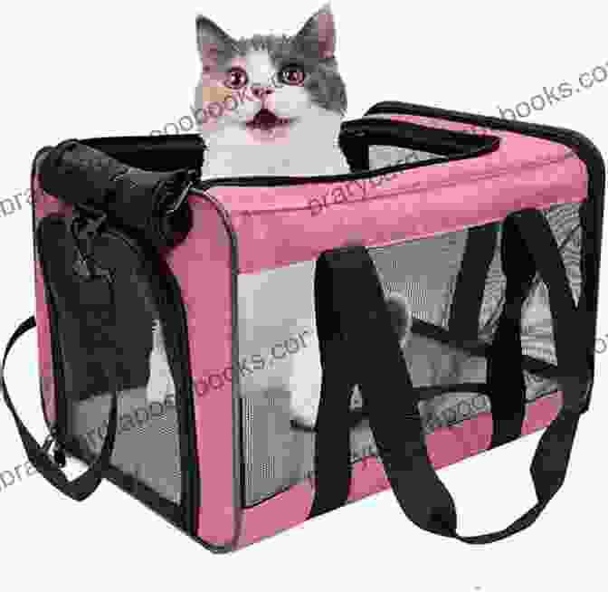 Image Of A Cat Traveling In A Pet Carrier The Absolute Beginner S Guide To Living With Your Cat: Choosing The Right Cat Cat Behaviors Adapting Your Home For A Kitten Cat Healthcare And More