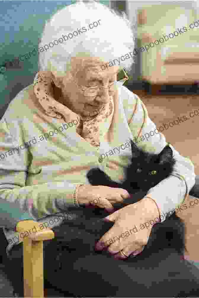 Image Of A Senior Cat Being Cared For The Absolute Beginner S Guide To Living With Your Cat: Choosing The Right Cat Cat Behaviors Adapting Your Home For A Kitten Cat Healthcare And More