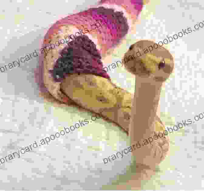 Little Girl Hugging A Crocheted Snake, Smiling Happily Snakes : 9 Crochet Patterns (Tiger Road Crafts)