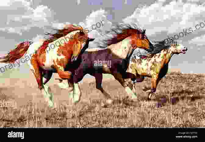 Majestic Mustang Horse Galloping Across A Grassy Plain Mustang Horse: Fun Facts On Horses For Kids #7