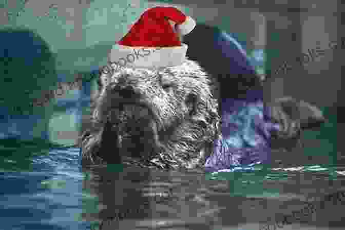 Ollie The Otter With His Otter Family, Sharing Christmas Cheer The Christmas Otter Amy Gaines