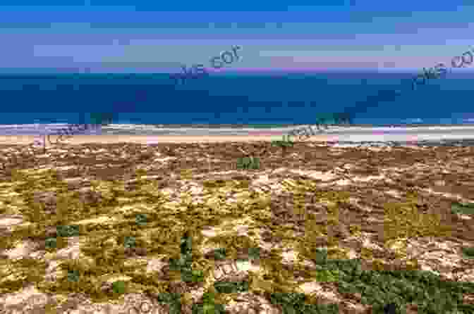 Panoramic View Of St. Augustine Beach, Showcasing Its Pristine Sands And Gentle Waves Florida S East Coast: St Augustine