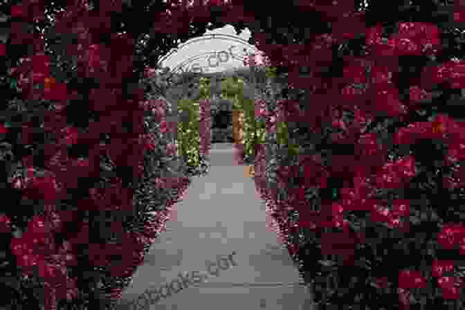 Rose Sitting In A Japanese Garden Surrounded By Flowers Little Paradise Muriel Barbery