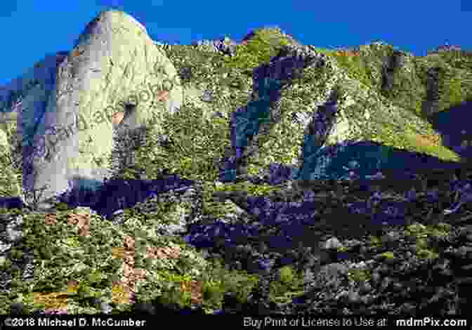 Sugarloaf Peak, A Granite Dome Offering Stunning Panoramic Views From Its Summit Best Easy Day Hikes Northern Sierra (Best Easy Day Hikes Series)