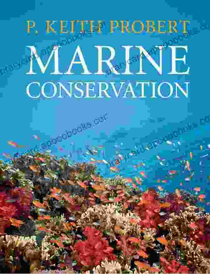 The Book Fosters A Love For Nature And Marine Conservation All About Sharks Great Whites Tiger Sharks Bull Sharks Hammerheads And More Sharks Man Eaters: Another All About In The Children S Picture Marine Animals Children S Books)