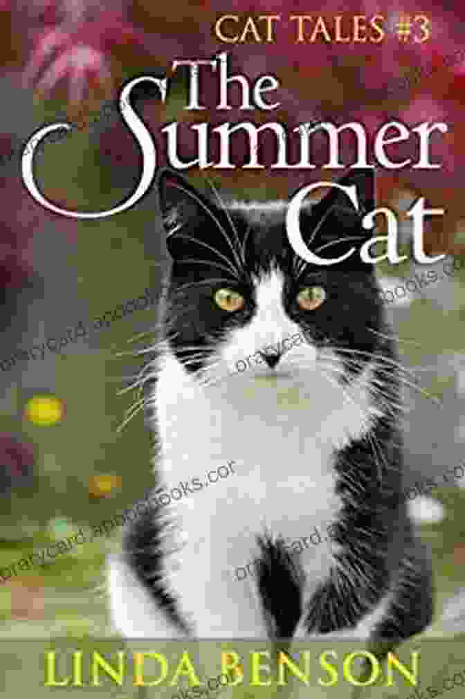 The Summer Cat Cat Tales Book Cover Featuring A Group Of Cats Enjoying A Summer Day The Summer Cat (Cat Tales 3)