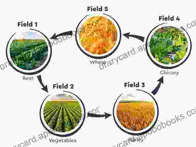 Traditional Farming Methods, Such As Crop Rotation And Raised Beds, Can Promote Sustainable Agriculture. Unchaining The Titan: Collected Essays: Modern Applications Of Old Knowledge