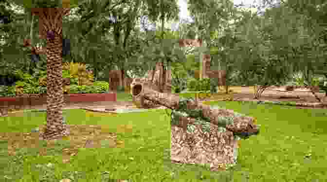 Tranquil Image Of The Fountain Of Youth Archaeological Park, Believed To Be The Site Where Ponce De Leon Searched For Eternal Life Florida S East Coast: St Augustine