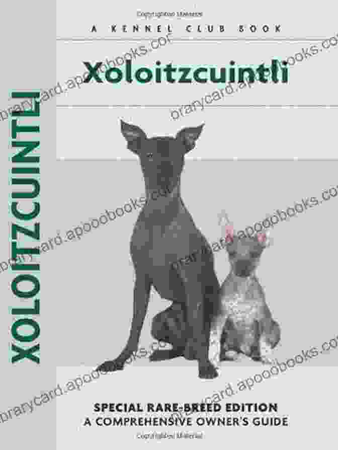 Xoloitzcuintli Comprehensive Owner Guide Book Cover Xoloitzcuintli (Comprehensive Owner S Guide 236)