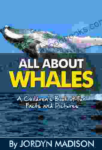 All About Whales Killer Whales Blue Whales Sperm Whales Beluga Whales Humpback Whales and More : Another All About in the Children s Picture Marine Animals Children s Books)