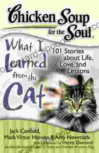 Chicken Soup For The Soul: What I Learned From The Cat: 101 Stories About Life Love And Lessons