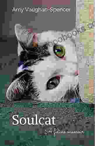 Soulcat: A feline memoir Amy Vaughan Spencer