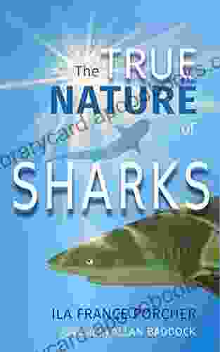 The True Nature Of Sharks