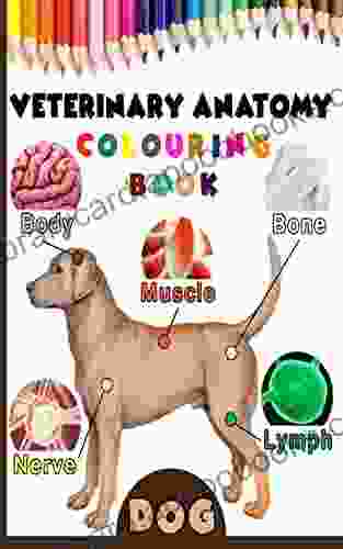 Veterinary Anatomy Colouring : Dog Anatomy Veterinary Physiology Workbook For Vet Nurses And Students 8 5 x 11 70 Pages