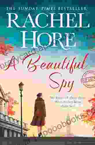 A Beautiful Spy: From the million copy Sunday Times