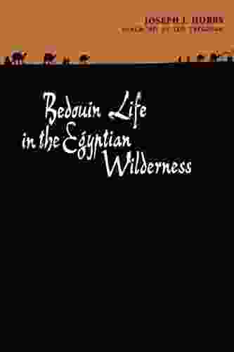 Bedouin Life In The Egyptian Wilderness