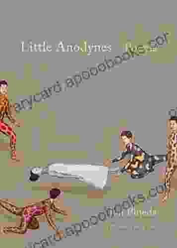 Little Anodynes: Poems (Palmetto Poetry Series)