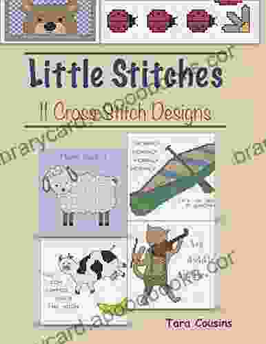 Little Stitches: 11 Cross Stitch Designs (Tiger Road Crafts)