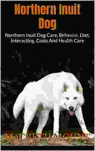 Northern Inuit Dog : Northern Inuit Dog Care Behavior Diet Interacting Costs And Health Care