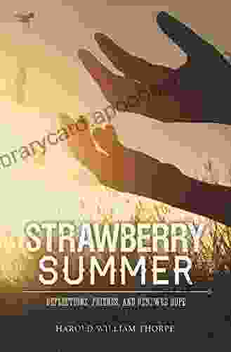 Strawberry Summer: Reflections Friends And Renewed Hope (O Shaughnessy Chronicles)