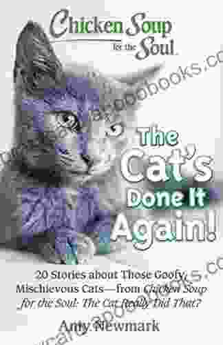 Chicken Soup For The Soul: The Cat S Done It Again : 20 Stories About Those Goofy Mischievous Cats From Chicken Soup For The Soul: The Cat Really Did That?