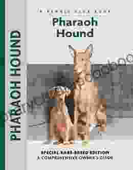 Pharaoh Hound (Comprehensive Owner S Guide)