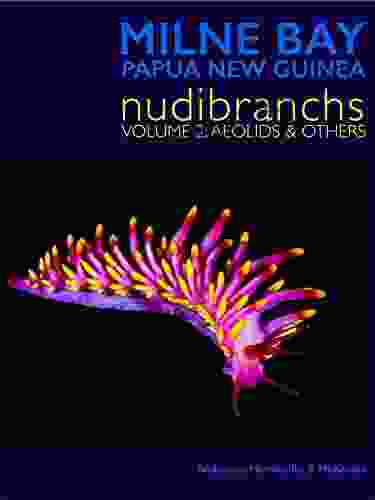 Milne bay Nudibranchs Vol: 2 Jim Anderson